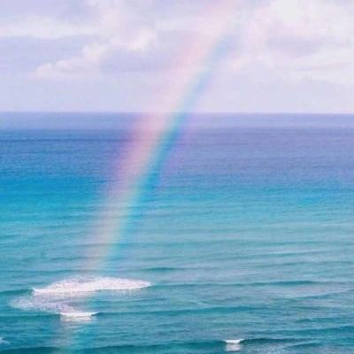 BOB彩票·(中国)平台APP下载