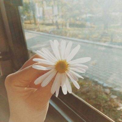 云开平台app最新版下载手机版